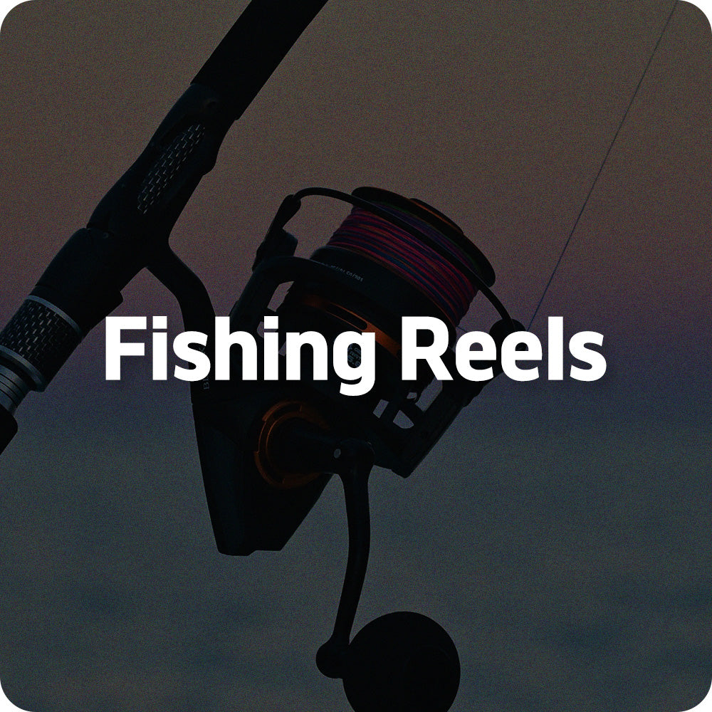 Reels