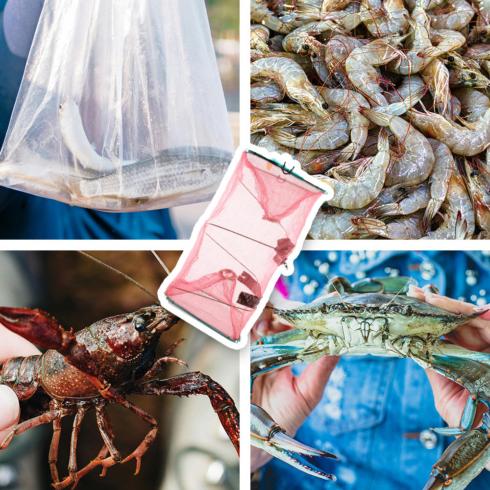 Fish Bait Trap 2 Pack Portable Foldable Collapsible Fishing Net for Shrimp Crawfish Minnow and Crab Lightweight Durable Design Easy to Carry 16.7 x 9 Inches
