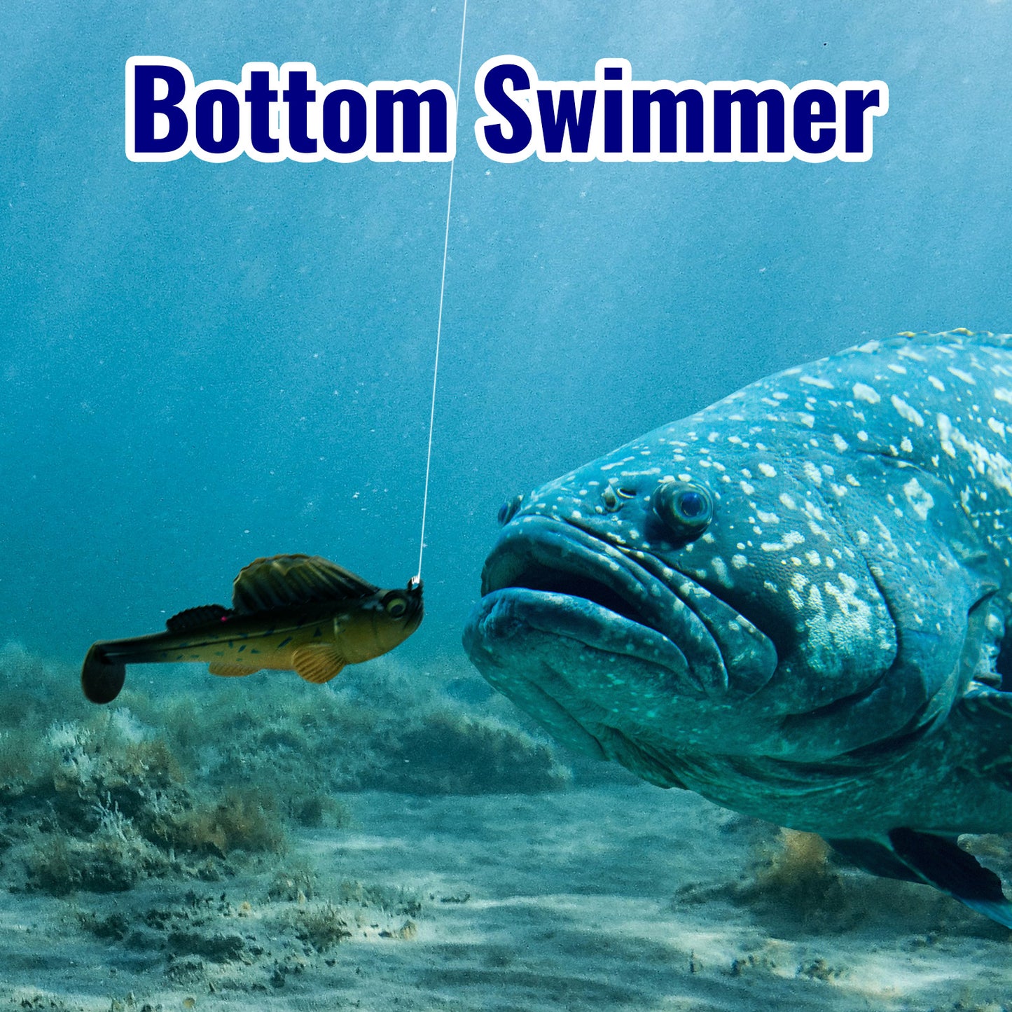 CASTSTRIKE Soft Fishing Lures 5pcs Kit with Tackle Box Weedless Paddle Tail Swimbaits for Bass Trout Crappie Walleye Freshwater Saltwater Life Like Action Durable Plastic Sharp Hooks