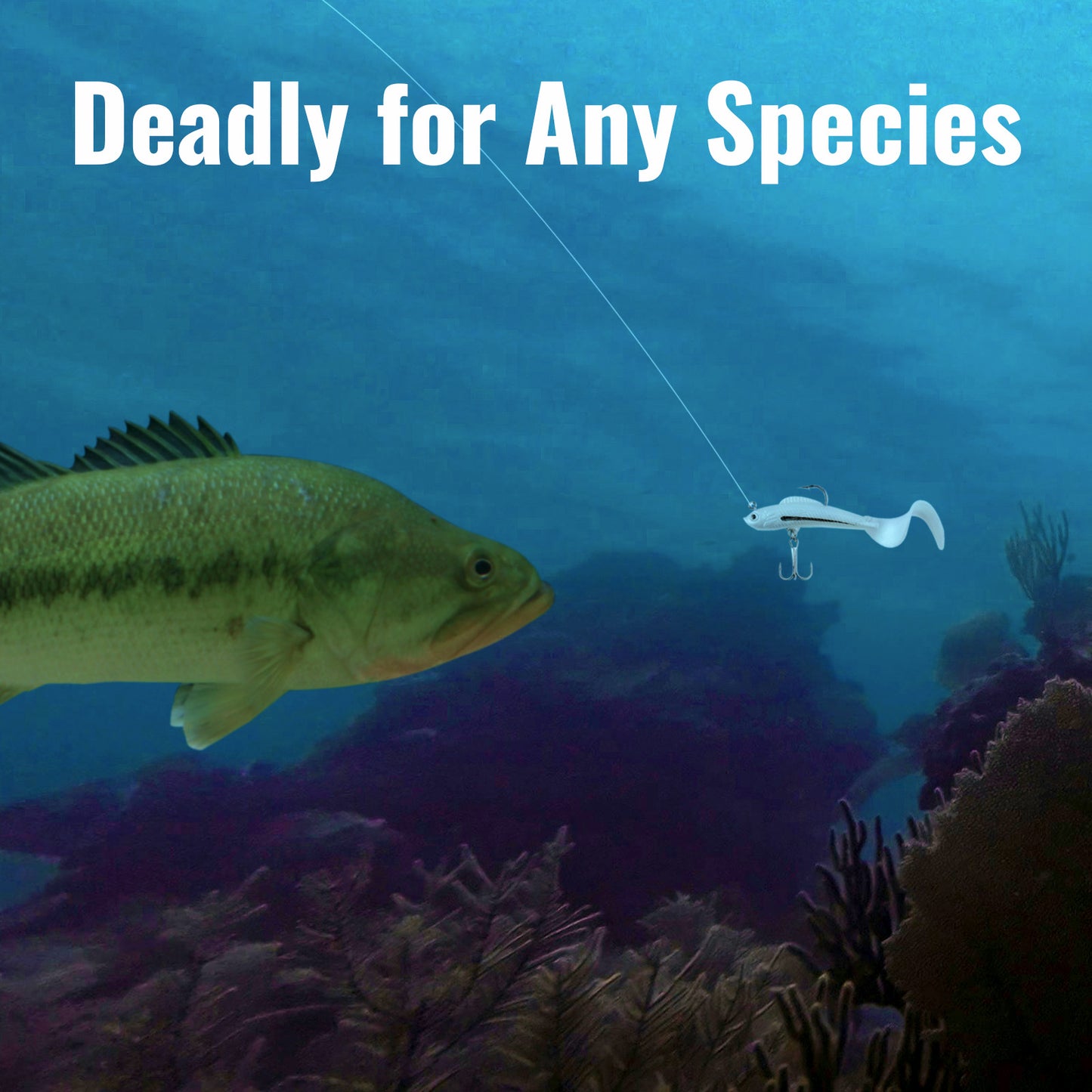 CASTSTRIKE Soft Fishing Lures for Bass 6pcs Curly Tail Swimbaits Pre-Rigged Jig Head Baits with Tackle Box for Freshwater Saltwater Trout Crappie Walleye Realistic Action 3D Eyes Sharp Hooks Kit