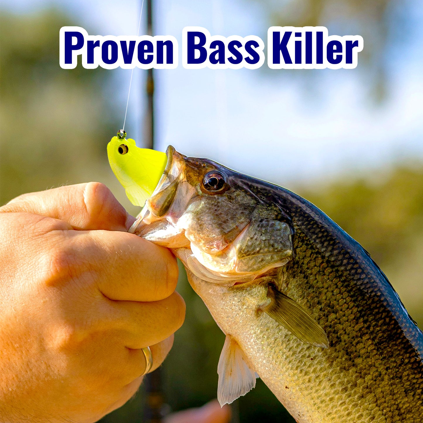 CASTSTRIKE Soft Fishing Lures 5pcs Kit with Tackle Box Weedless Paddle Tail Swimbaits for Bass Trout Crappie Walleye Freshwater Saltwater Life Like Action Durable Plastic Sharp Hooks