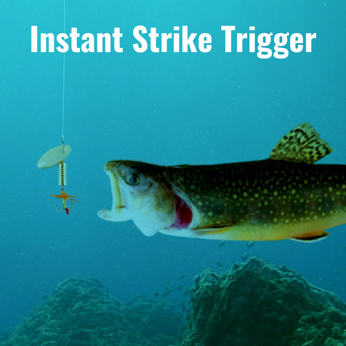 CASTSTRIKE Trout Spinnerbait Lures Inline Rooster Tail Fishing Kit Brass Spinner Baits with Smooth Rotation Flash Blade for Bass Pike Crappie Saltwater Freshwater Lake River 360 Balance Hook