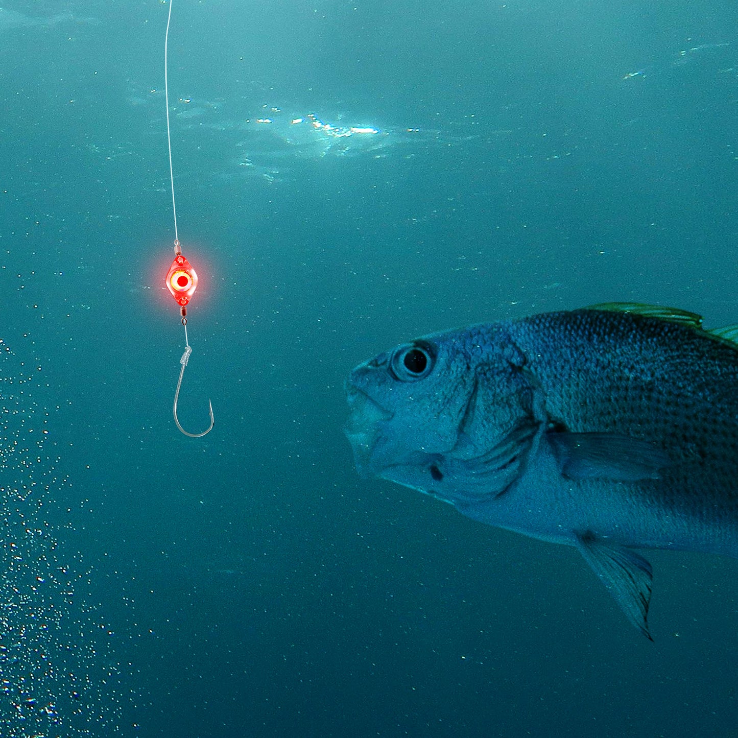 CASTSTRIKE 6PCS LED Fishing Lures Light Underwater Bait Water Activated LED Deep Drop Attractant Light for Saltwater Freshwater Night Trolling Ice Boat Pier Bass Halibut (Double Swivel)