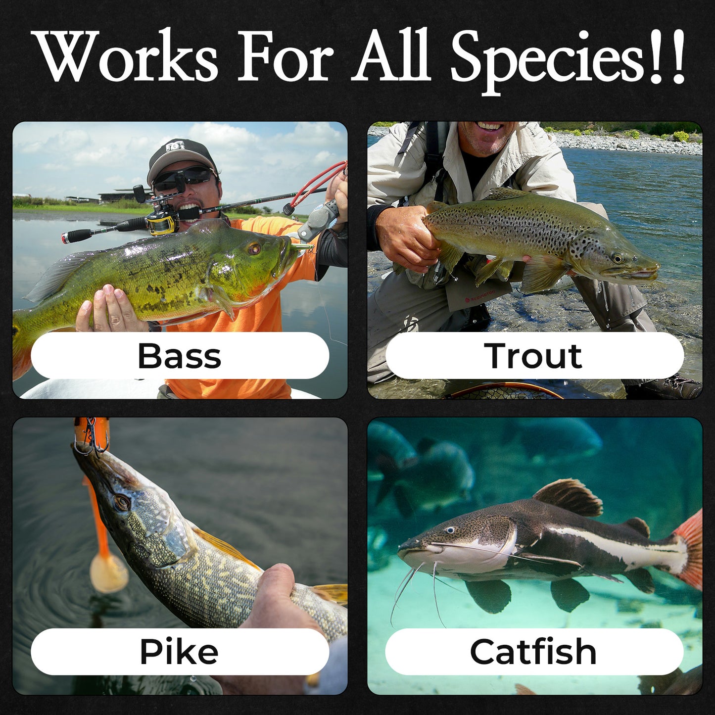 CASTSTRIKE Fishing Attractant Gel for Bass Trout Catfish Strong Scent Bait Enhancer for Freshwater and Saltwater Boosts Strike Rate Easy Apply Long Lasting Formula